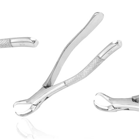 AAProTools AA PRO Forceps 23 Cow Horn Lower Molar Root Teeth India | Ubuy