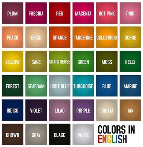 Image result for Colors CSS Visual Code