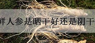 Image result for 阴干
