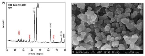 Sodium Alginate-Based MgO Nanoparticles Coupled Antibiotics as Safe and ...
