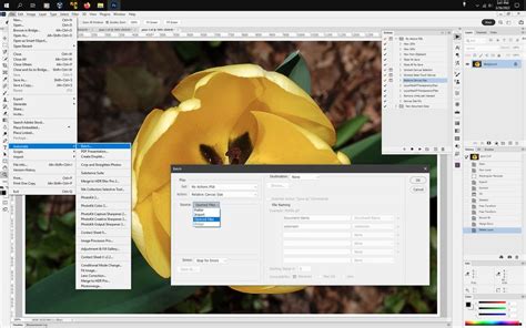 Helpx.Adobe.com Tutorial 的图像结果