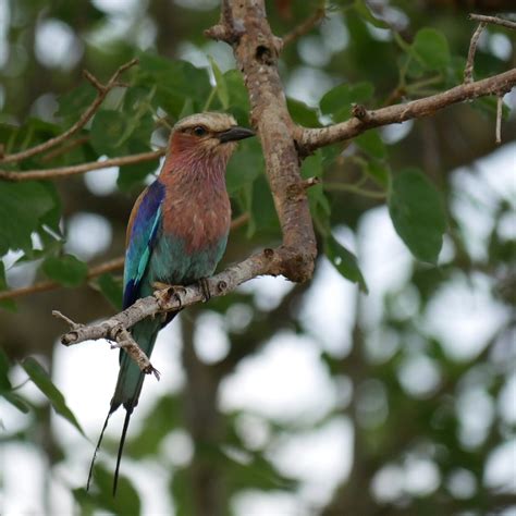 Image result for Luanda Travel Guide