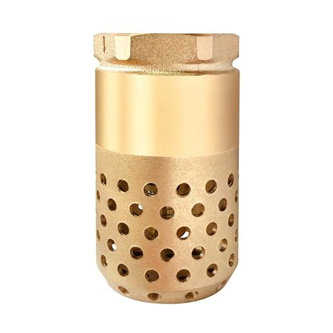 Buy Brass Foot Valve Heavy Duty 1" NPT Foot Valve Female connection ...
