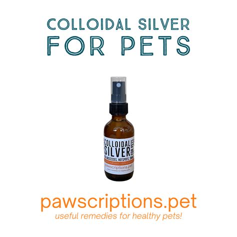 Colloidal Silver for Pets - airdriedtreats.pet