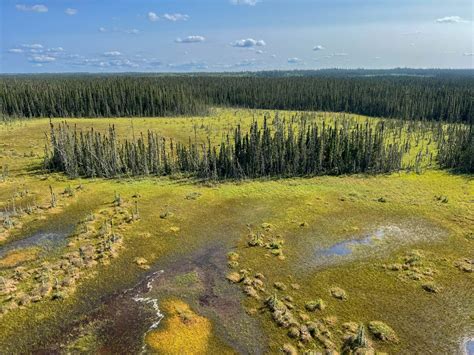 Ducks Unlimited Canada National Boreal Program - Understanding the Impacts of Climate Change on ...