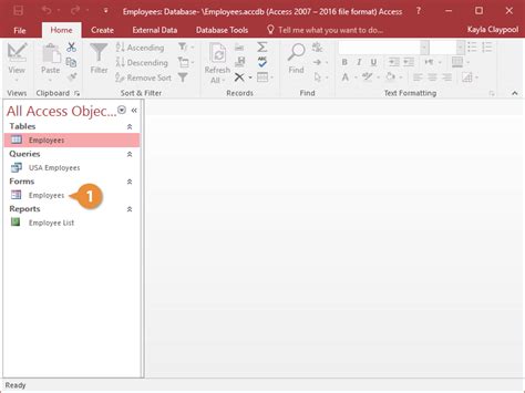 Image result for Access 2013 Tutorials Free Forms