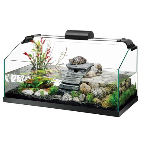 Best Turtle Tank Setup: The Definitive Guide - Expert Aquarist ...