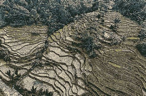 Image result for Java Source Code