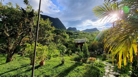 CERRO TUSA SPRINGS (Venecia) - Guesthouse Reviews, Photos, Rate ...