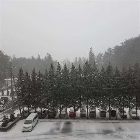 CHUO ALPS CHOBO NO YADO HOTEL KI NO KAWA - Reviews