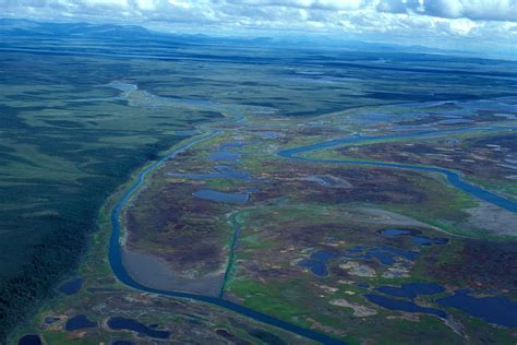 Delta Meaning River: Delta Definition Geography – VCOG