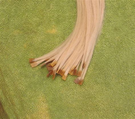 Fusion Extensions Tutorial 的图像结果