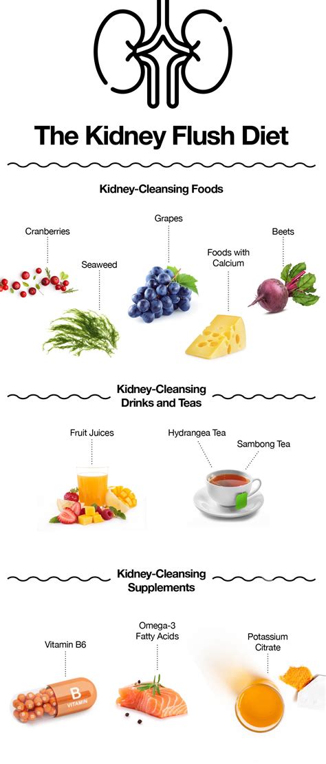 Kidney Cleanse 22 Foods For Kidney Health Natural Society