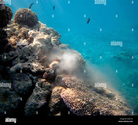 French Frigate Shoals Stock Photo - Alamy