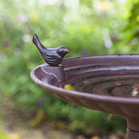 Buy Cast iron large bird bath on pedestal - rust: Delivery by Waitrose ...
