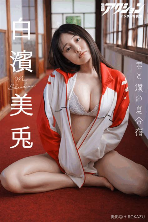 Collection Interface in Java 的图像结果