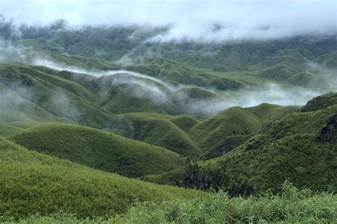 Where Clouds Meet Blossoms – My Journey Through Dzukou, The Valley of ...
