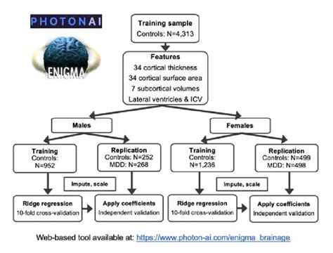Image result for Complex Enigma Model