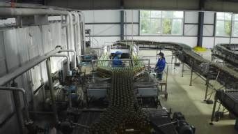 生产工艺介绍和包装车间流水线|青岛啤酒博物馆|原浆酒|生产工艺_新浪新闻