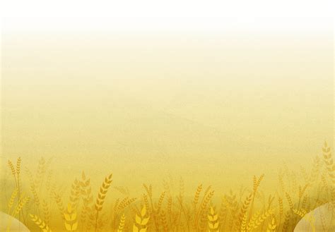 What Is MIPS? | Optimize Healthcare - Provisions Group