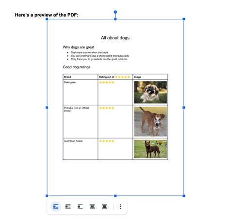 Image result for Google Docs PDF