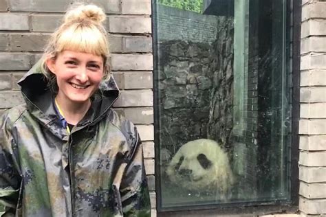 Dujiangyan Panda Base Tour with Transfer and Volunteer Option 2024 ...