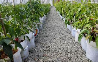 SJN Coir - Cocopeat Exporters in Tamil Nadu, Coir Products Exporters in ...