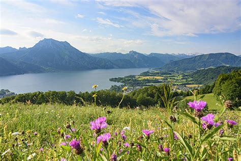 No Place Like Austria