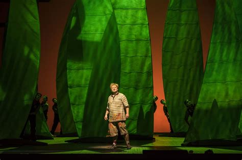 Image result for Opera Siegfried Singer