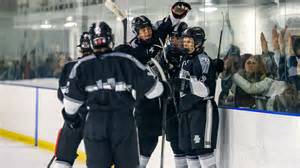 N.J. boys hockey preview, 2025-26: Public teams to watch - nj.com