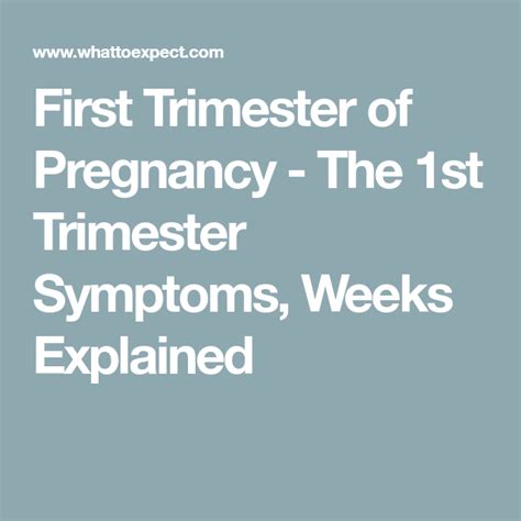 First-Trimester Weeks 的图像结果