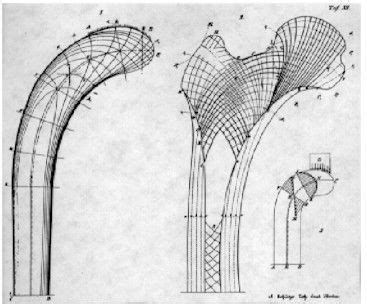 Image result for Biomimetics Examples