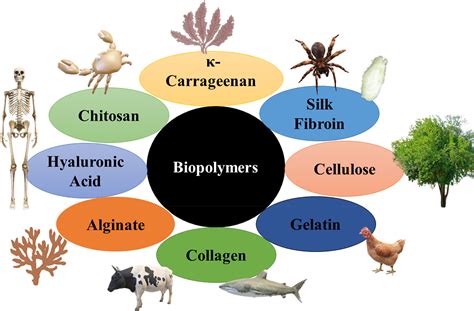 Natural polymers used in the dressing materials for wound healing: Past, present and future ...