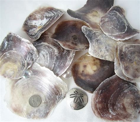 Image result for Capiz Shell Processing