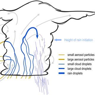 Image result for Path Draw Particles