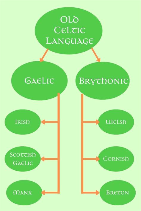 What Is Sneaky In Gaelic at Charles Dunaway blog