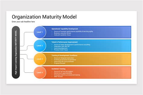 Maturity Model Examples 的图像结果