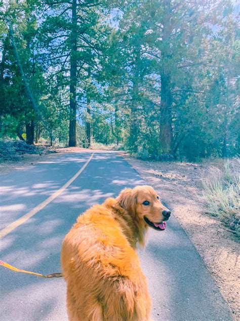 Serrano Campground at Big Bear Lake - Sea Pursuit