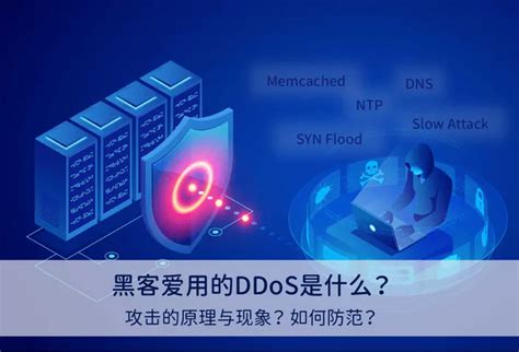 DDoS Website Free Xbox 的图像结果