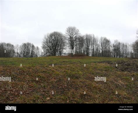 Lithuanian archaeology hi-res stock photography and images - Alamy