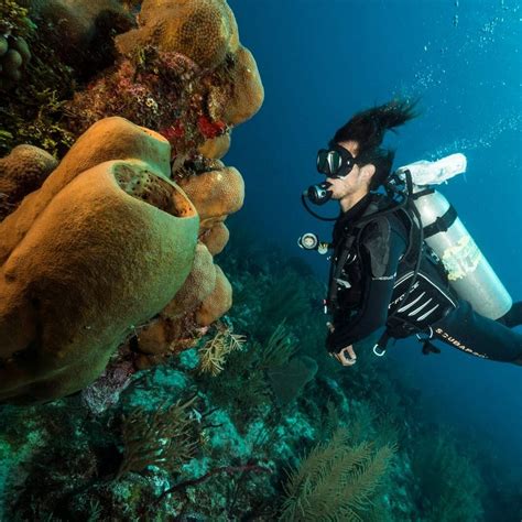 ANDREA DIVE - All You Need to Know BEFORE You Go 2026 (with Photos ...