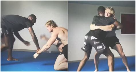 Tom Brady roasts Logan Paul, calls wrestler's athletic abilities 'cute'