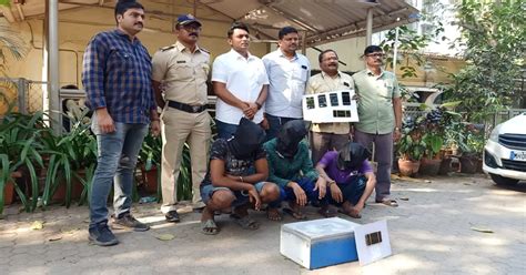 Mumbai: Three history sheeters held for breaking inside the temple ...