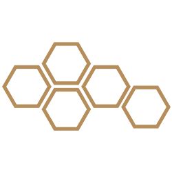 India’s Best Online Elementary School