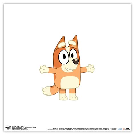 Image result for Bingo Tutorial