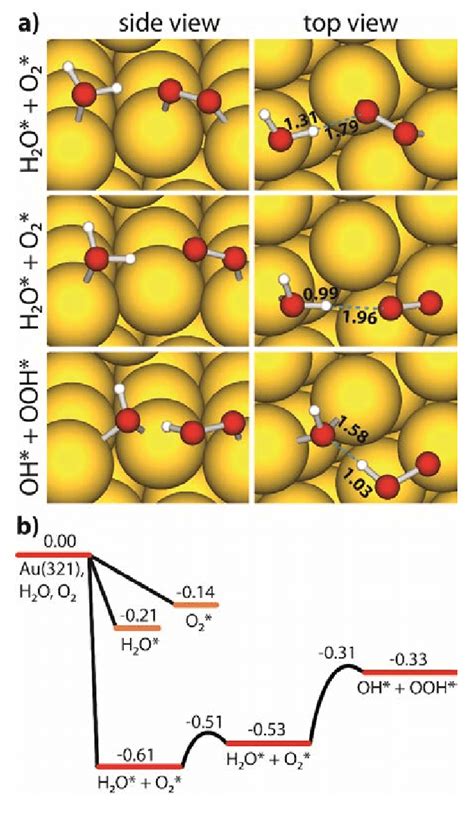 H2O2 Heat Reaction 的图像结果