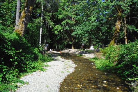 Observations From On The Road: Camping- Belfair State Park, WA