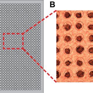 Image result for Mda Helix Array