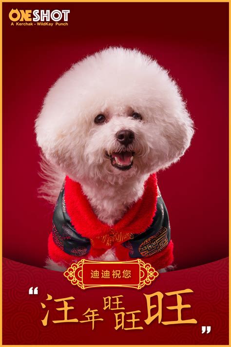 宠物狗图片-圣诞节快乐狗狗素材-高清图片-摄影照片-寻图免费打包下载
