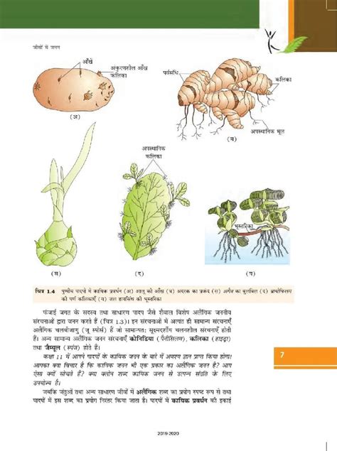 Bio Class 12 Up Board Chapter 1 的图像结果
